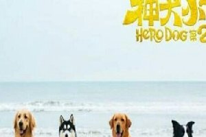 神犬小七第二季,看过第一季的都想看