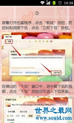 电影要会员才能看怎么办？找kitty torrent没错的