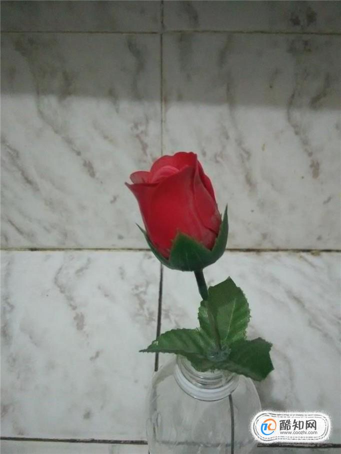 如何保存玫瑰花