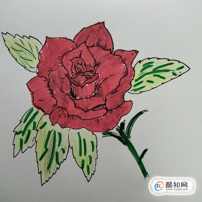 简笔画玫瑰花