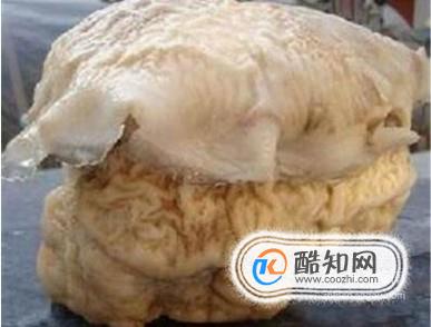 野生太岁肉灵芝有什么作用和用途
