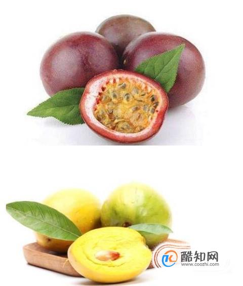 鸡蛋果和百香果的区别