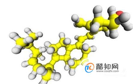 常吃什么可以补充维生素D