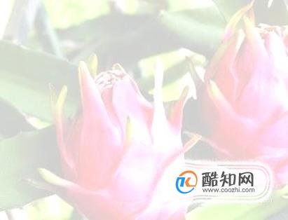 word2007中如何将图片设置为冲蚀效果