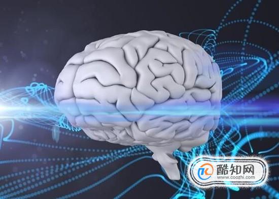 补脑的食物有哪些？健脑食品有哪些