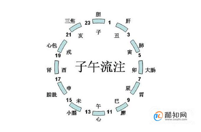 十二时辰和人体经络时表