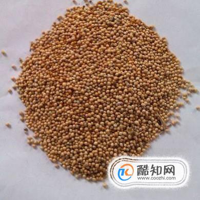 花红小黑膏使用方法