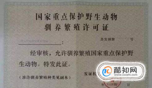 驯养繁殖许可证多少钱