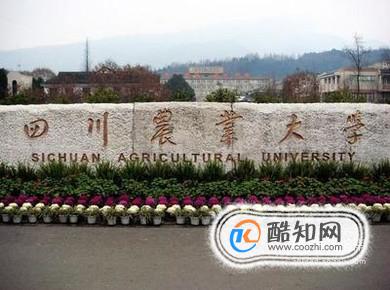 四川农业大学怎么样