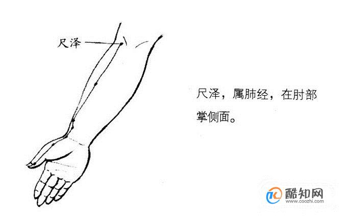 人体有四个止咳特效穴