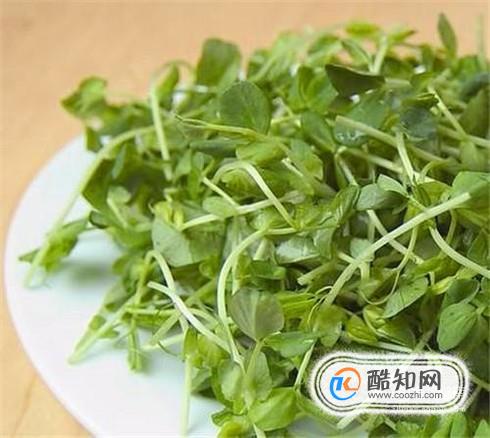 豌豆苗的营养价值与功效