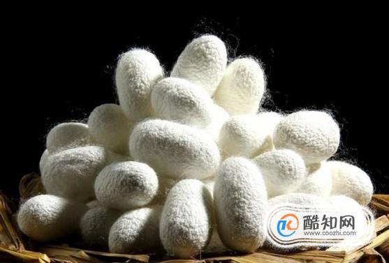 养蚕的时候怎样抽取蚕丝呢？