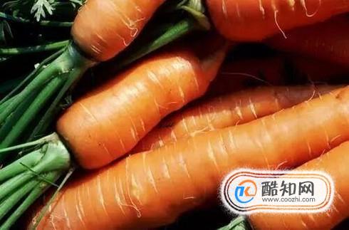 哪些食物存在避孕效果