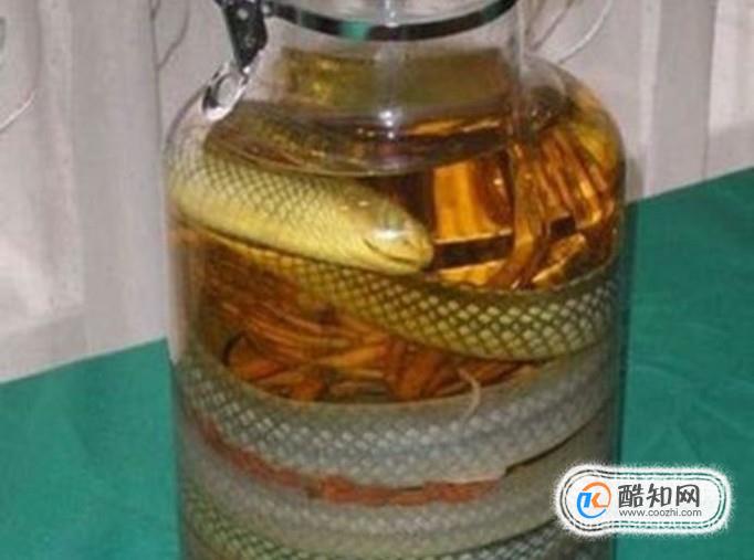 蛇为什么在酒里泡很长时间都不死呢？