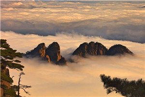 黄山四绝壮丽景观 带你领略黄山的奇特之处