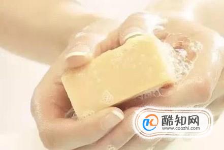 如何驱赶蚊子：让蚊子灭绝的方法