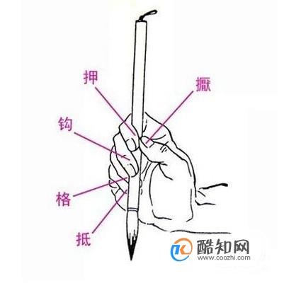 毛笔的正确执笔姿势是怎样的？