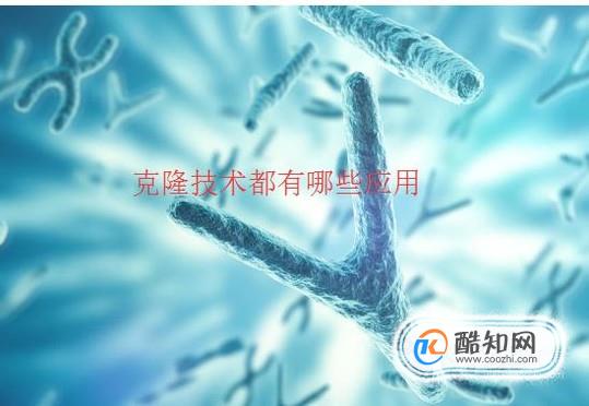 克隆技术在我们的生活中有哪些应用