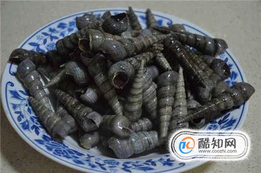 海边的丁螺怎么吃