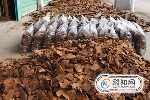 兰花怎么养：兰花植料配比--树皮篇