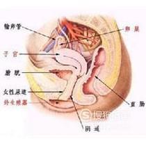 阴蒂体切除手术术后护理？