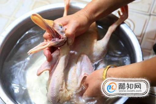 鸭子的去毛方法
