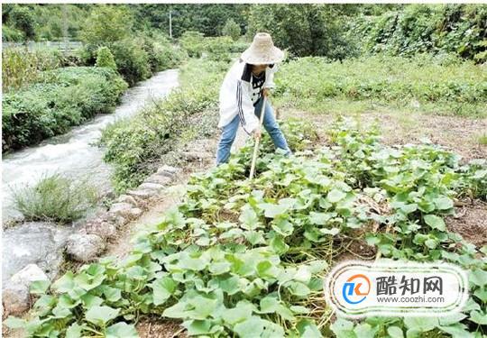 夏天应该注意什么