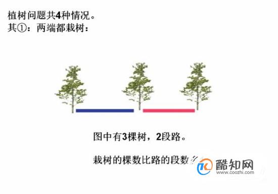 怎样更直观的理解数学里的植树问题