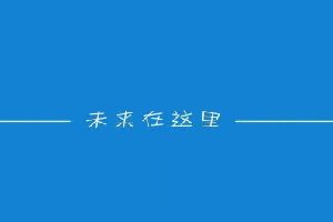 向着目标唱着我的未来不是梦的歌词