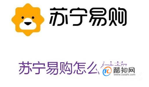 苏宁易购怎么付款