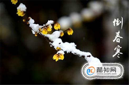 倒春寒来临应该如何养生