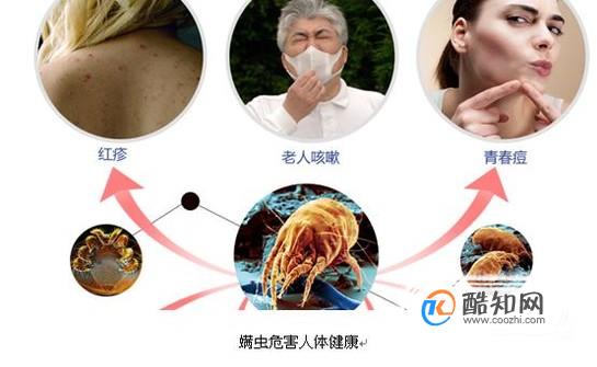 怎样有效的去除棉被上面的螨虫