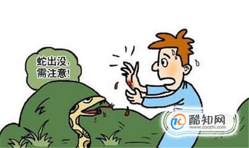 被蛇咬伤怎么急救