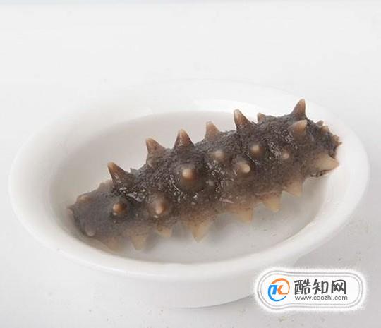 半干海参怎么发？