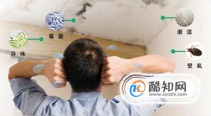 去除家里的螨虫最有效的办法