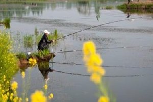 梦见钓鱼是什么意思呢？今天周公来帮你解梦