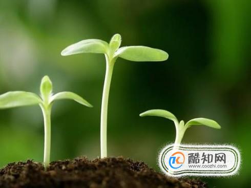 大学生如何加强思想道德修养
