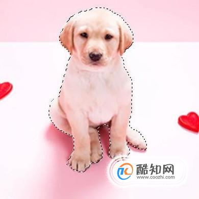 如何利用Photoshop的套索工具抠图？