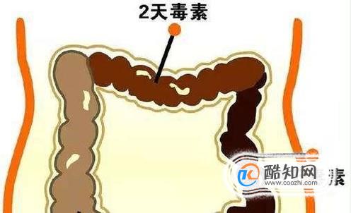 长期便秘会不影响身体健康