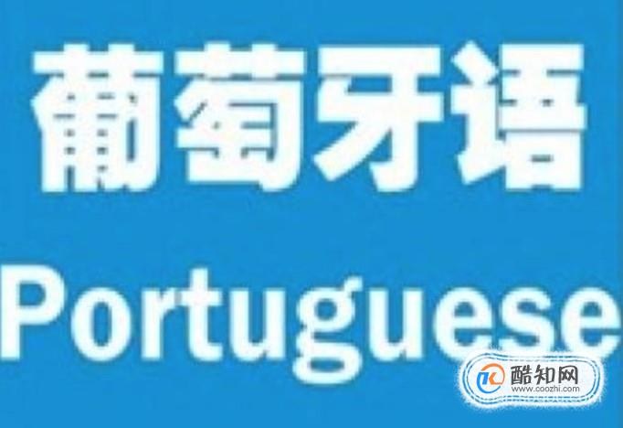 南美洲国家都说什么语言