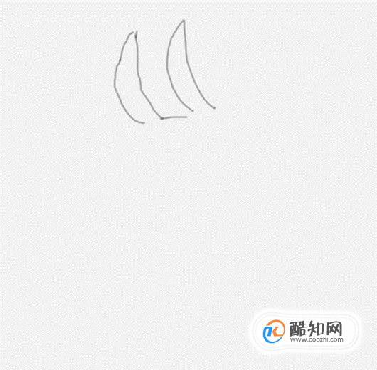 简笔画—流氓兔兔