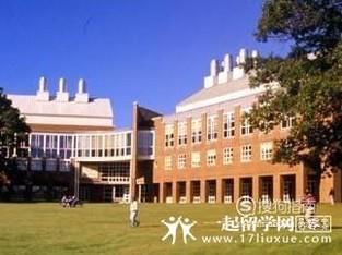 新英格兰大学本科专业设置