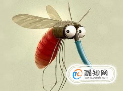 为什么晚上蚊帐内总有蚊子