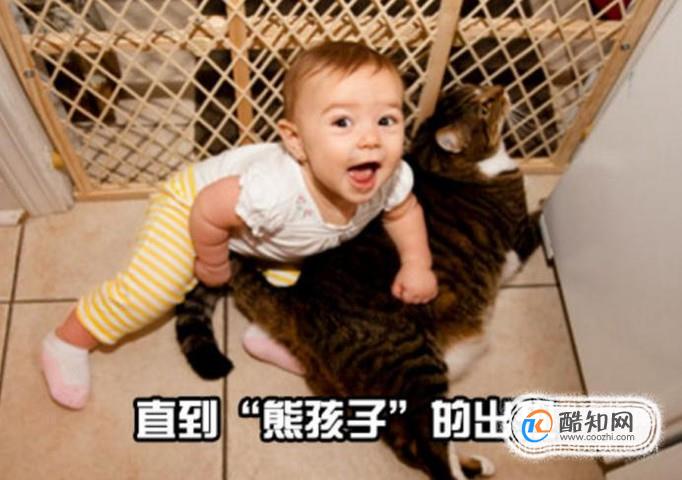 每个“熊孩子”的背后都有一个“熊家长”？