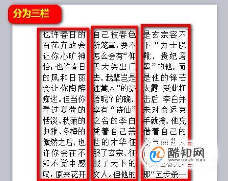 如何使用WPS来设置分栏？