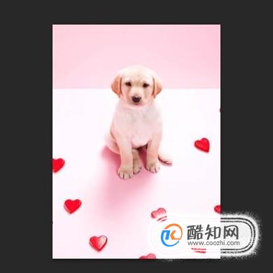 如何使用PS内容识别填充工具快速去水印和杂物