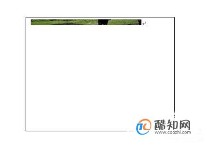word文本框中黏贴图片显示不完整？