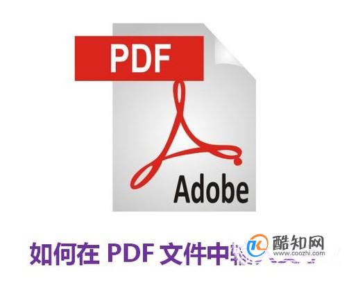 如何在PDF文件中输入文字