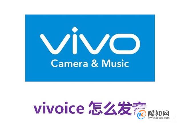 vivoice怎么发音