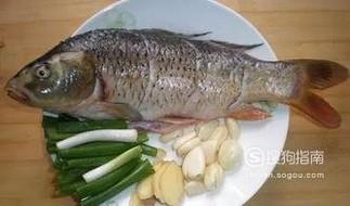 自己在家怎么杀鱼？
